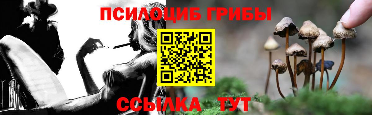 Псилоцибиновые грибы MAGIC MUSHROOMS Волгодонск